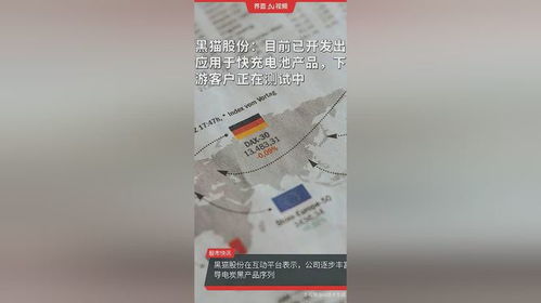 黑貓股份 目前已開發(fā)出應用于快充電池產(chǎn)品,下游客戶正在測試中