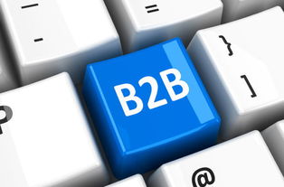 B2B電商 傳統(tǒng)企業(yè)轉(zhuǎn)型變革的新引擎與戰(zhàn)略高地