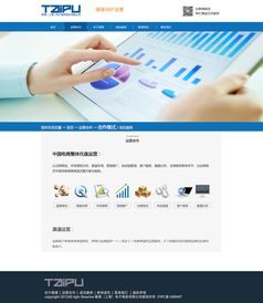 電子商務(wù)企業(yè)網(wǎng)站改版 提升用戶(hù)體驗(yàn)與轉(zhuǎn)化率的關(guān)鍵實(shí)踐